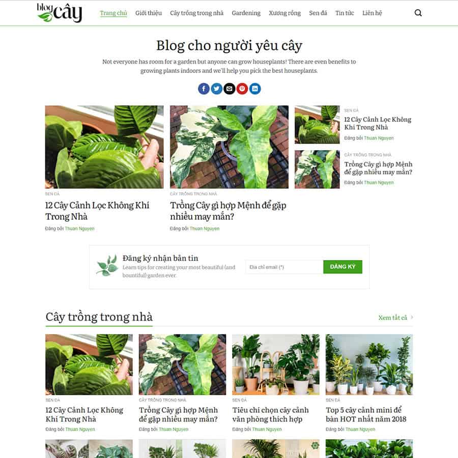 Mẫu website tin tức 12