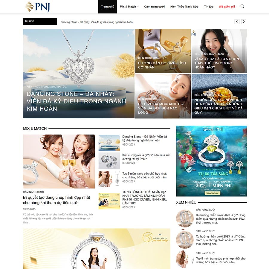 Mẫu website tin tức 25
